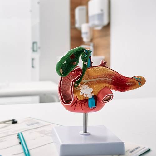 IN THE NEWS: ‘We’re at a Turning Point’: Inside the Next Phase of Pancreatic Cancer Care